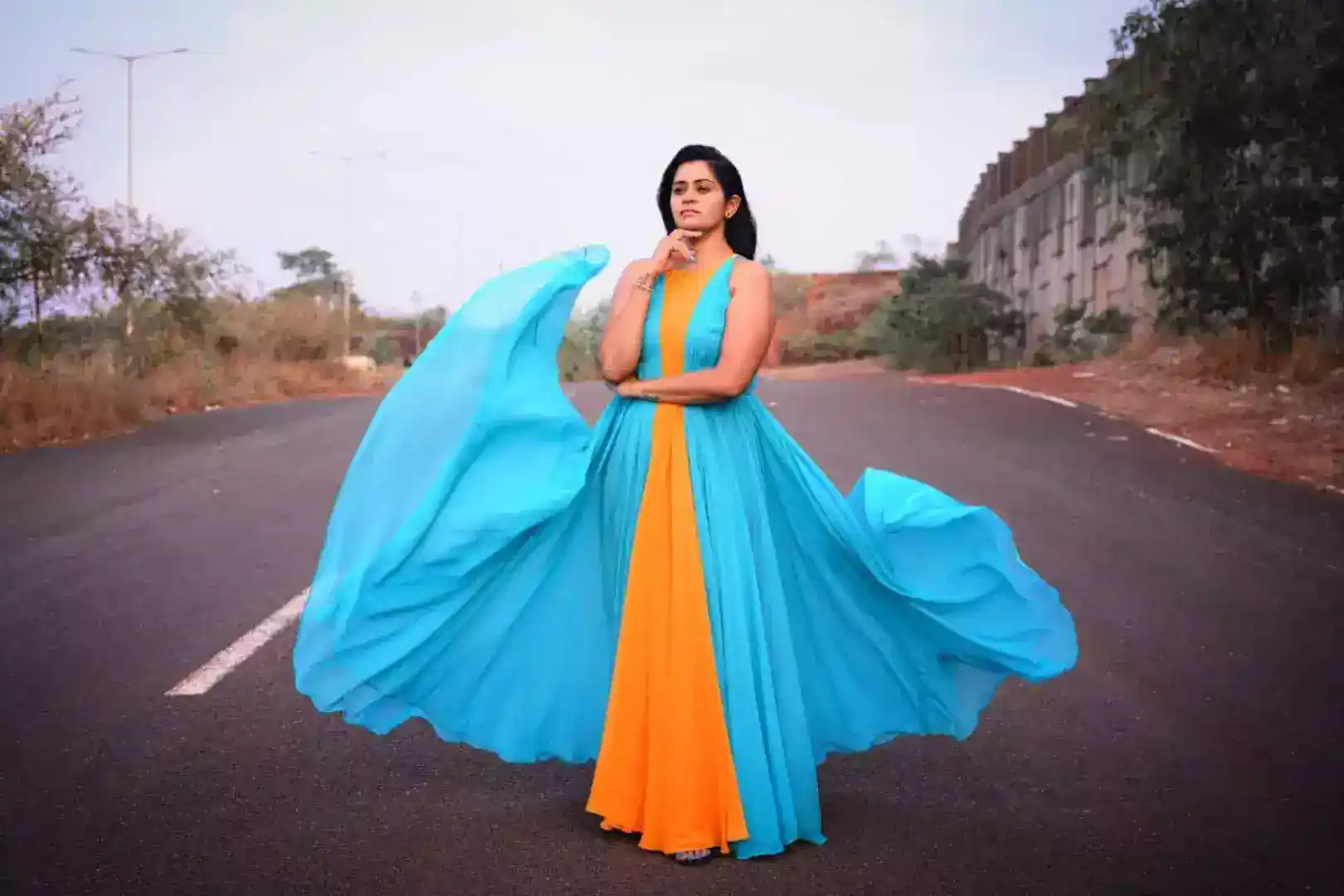 Formal gown/Evening Gown